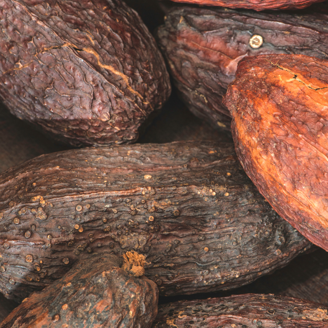 Cacao
