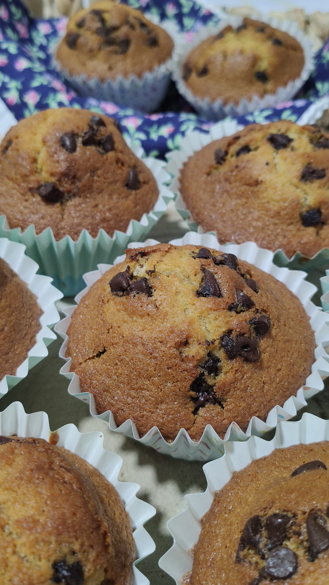 bizcocho cubierto de chocolate