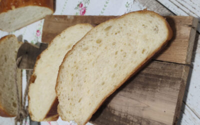 Pan Brioche