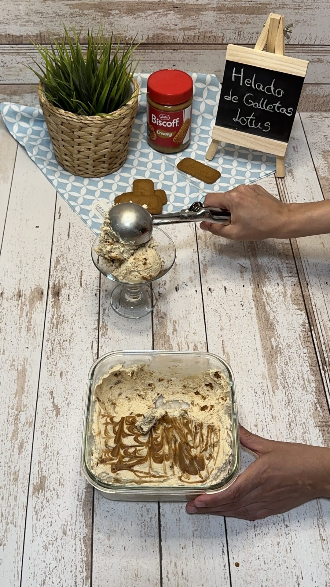 Helado de galletas Lotus_16 Tras congelar, ponemos en un recipiente varias bolas de helado