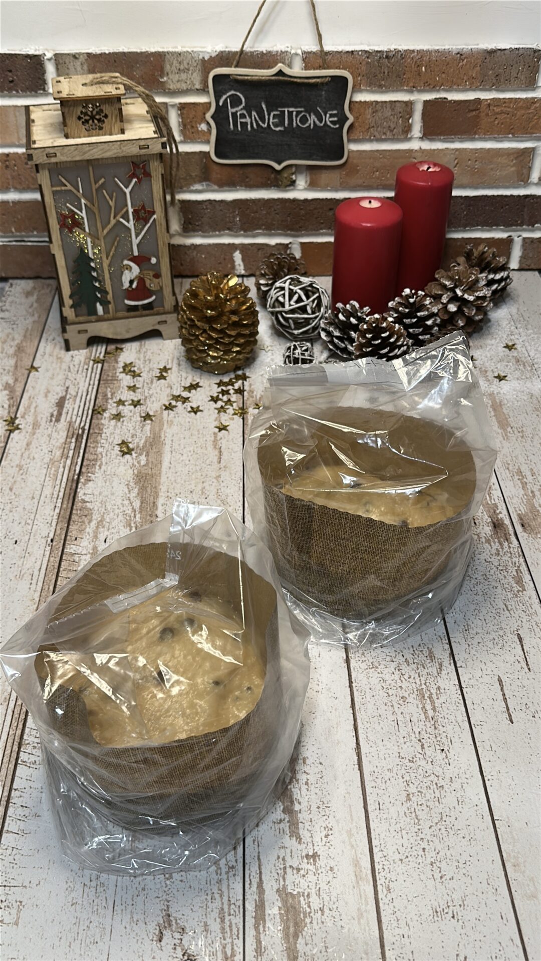 Cubrimos cada molde con bolsas de plástico y dejamos fermentar