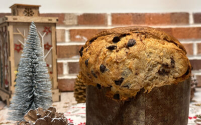 Panettone