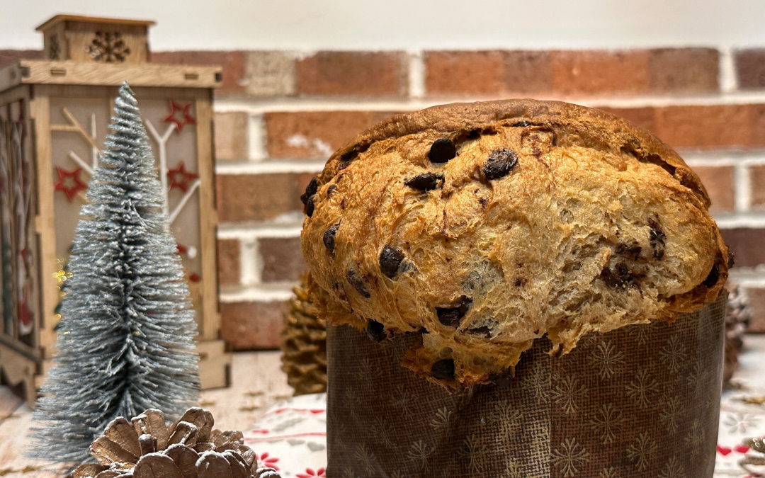 Panettone